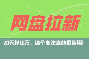 （12294期）网盘拉新+私域运营玩法，零基础入门，小白可操作，当天见效，日入5000+