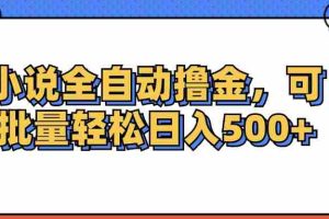 （12244期）小说全自动撸金，可批量日入500+