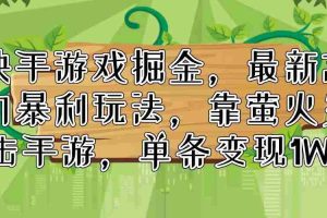 （11851期）快手游戏掘金，最新冷门暴利玩法，靠萤火突击手游，单条变现1W+