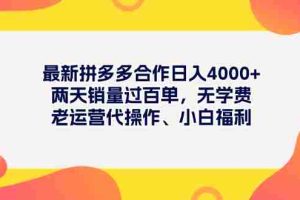 （11410期）最新拼多多项目日入4000+两天销量过百单，无学费、老运营代操作、小白福利
