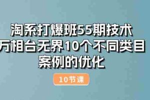 （10996期）淘系打爆班55期技术：万相台无界10个不同类目案例的优化（10节）