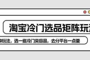 （10159期）淘宝冷门选品矩阵玩法：换种玩法，选一些冷门类目品，去分平台一点羹