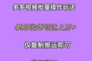 （10029期）拼多多视频带货快速过爆款选品教程 每天轻轻松松赚取三位数佣金 小白必…