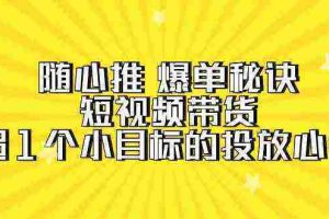 （9687期）随心推 爆单秘诀，短视频带货-超1个小目标的投放心得（7节视频课）