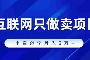 （9623期）互联网的尽头就是卖项目，被割过韭菜的兄弟们必看！轻松月入三万以上！