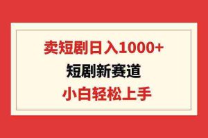 （9467期）短剧新赛道：卖短剧日入1000+，小白轻松上手，可批量