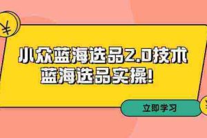 （9189期）拼多多培训第33期：小众蓝海选品2.0技术-蓝海选品实操！
