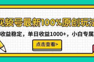 （9070期）视频号最新100%原创玩法，收益稳定，单日收益1000+，小白专属