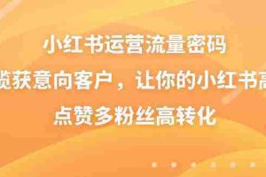 （8764期）小红书运营流量密码，揽获意向客户，让你的小红书高点赞多粉丝高转化
