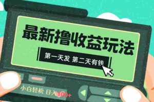 （8522期）2024最新撸视频收益玩法，第一天发，第二天就有钱