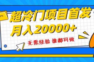 （8148期）超级冷门项目，粤语动画赛道，十分钟一个原创视频，简单易上手 实测月入1w+