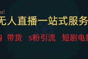 （7654期）无人直播全套服务，变现稳定