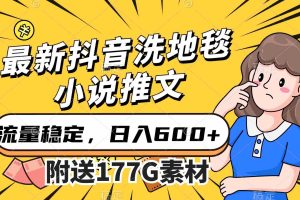 （7416期）最新抖音洗地毯小说推文，流量稳定，一天收入600（附177G素材）