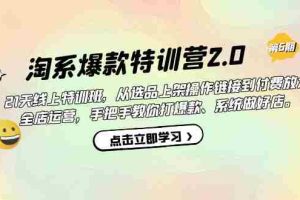 （7250期）淘系爆款特训营2.0【第六期】从选品上架到付费放大 全店运营 打爆款 做好店