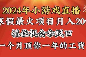 （8778期）2024年寒假爆火项目，小游戏直播月入20w+，学会了之后你将翻身