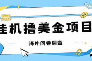 （7196期）最新挂机撸美金礼品卡项目，可批量操作，单机器200+【入坑思路+详细教程】