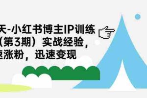（7149期）28天-小红书博主IP训练营（第3期）实战经验，快速涨粉，迅速变现