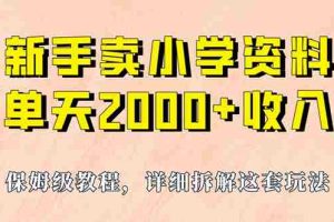 （6909期）我如何通过卖小学资料，实现单天2000+，实操项目，保姆级教程+资料+工具