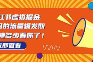 （6848期）8月风口项目，小红书虚拟法考资料，一部手机日入1000+（教程+素材）
