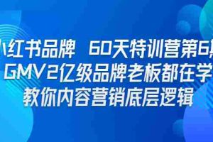 （6798期）小红书品牌 60天特训营第6期 GMV2亿级品牌老板都在学 教你内容营销底层逻辑