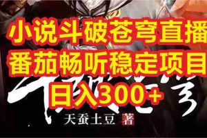 (6584期)小说斗破苍穹直播,番茄畅听日入300+稳定项目