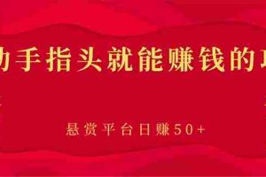 （2863期）新手小项目：动动手指头就能赚钱的项目，悬赏平台日赚50+