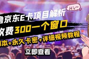 （2809期）京东无限E卡全自动挂机项目 号称日入500–1000【永久版脚本+详细操作教程】