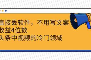 （2543期）直接丢软件，不用写文案，收益4位数头条中视频的冷门领域
