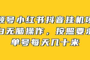 （2437期）视频号小红书抖音挂机项目，小白无脑操作，按照要求来，单号每天几十米