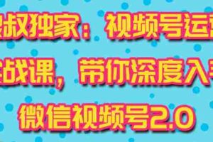 （1521期）视频号运营实战课2.0，目前市面上最新最全玩法，快速吸粉吸金（10节视频）