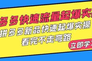 （6253期）拼多多-快速流量起爆实战，拼多多新品快速起爆实操，看完不走弯路