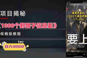 （6135期）1000个野路子信息差保姆式教程-单日变现3000+的玩法解密