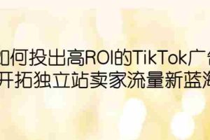 （6102期）如何投出高ROI·TikTok广告，开拓独立站卖家流量新蓝海
