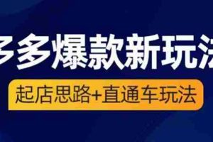 （6028期）2023拼多多爆款·新玩法：起店思路+直通车玩法（3节精华课）