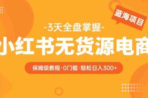 （5912期）2023小红书无货源电商【保姆级教程从0到日入300】爆单3W