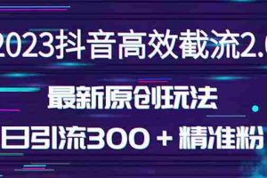 （5293期）日引300＋创业粉，独家抖音高效截流2.0玩法（价值1280）