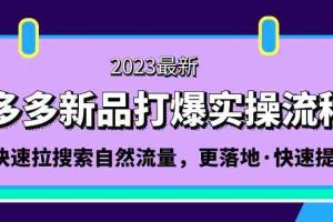 （5036期）拼多多-新品打爆实操流程：轻松快速拉搜索自然流量，更落地·快速提升!