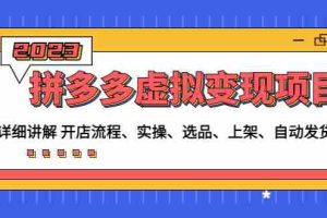 （4824期）拼多多虚拟变现项目：讲解开店流程-实操-选品-上架-自动发货等(无中创水印)