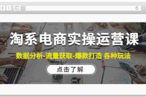 （4463期）淘系电商实操运营课：数据分析-流量获取-爆款打造 各种玩法（63节）