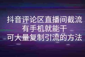 （4074期）抖音评论区直播间截流，有手机就能干，可大量复制引流的方法