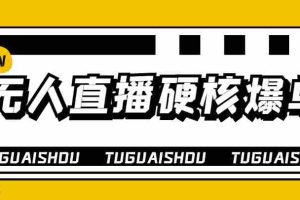（3980期）大飞无人直播硬核爆单技术，轻松玩转无人直播，暴利躺赚