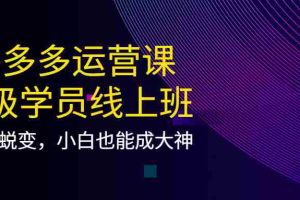 （3929期）拼多多运营课：超级学员线上班，21天蜕变，小白也能成大神