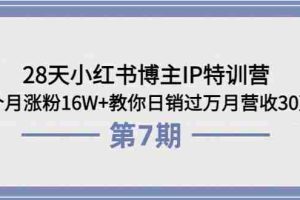 （3745期）28天小红书博主IP特训营《第6+7期》4个月涨粉16W+教你日销过万月营收30万