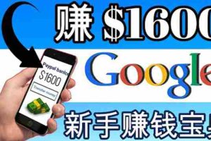 （3660期）零成本通过Google复制粘贴来简单赚取收益，几分钟赚1600美元