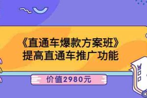 （3502期）《直通车爆款方案班》提高直通车推广功能