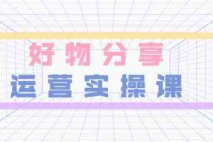 （3409期）大木好物分享短视频运营实操班：一部手机从零到一带货实操赚钱（26节课时）