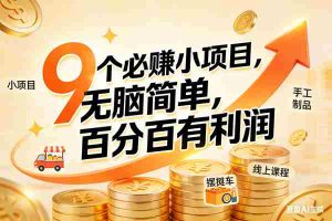 （17261期）9个必赚小项目，无脑简单，百分百有利润，副业首选，日入200+