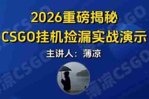 （17258期）CSGO游戏挂机游戏搬砖最新升级，普通小白一部手机可日入300+当天见结果，支持验证