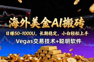 （17143期）【海外美金AI搬砖】Vegas交易技术+聪明软件，日赚50-1000U，长期稳定，小白轻松上手。