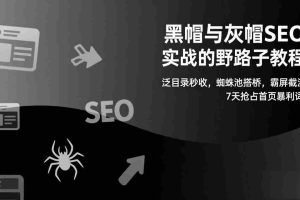 （17125期）黑帽与灰帽SEO实战的野路子教程：泛目录秒收，蜘蛛池搭桥，霸屏截流，7天抢占首页暴利词